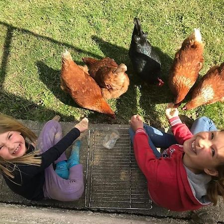 Cosy Family Apartment ライヒェナウ エクステリア 写真