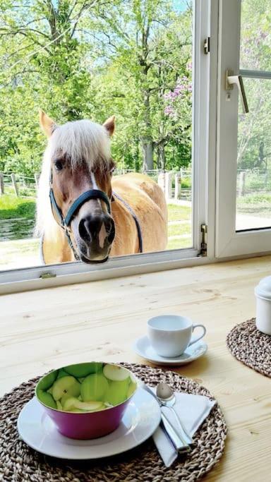 Cosy Family Apartment ライヒェナウ エクステリア 写真