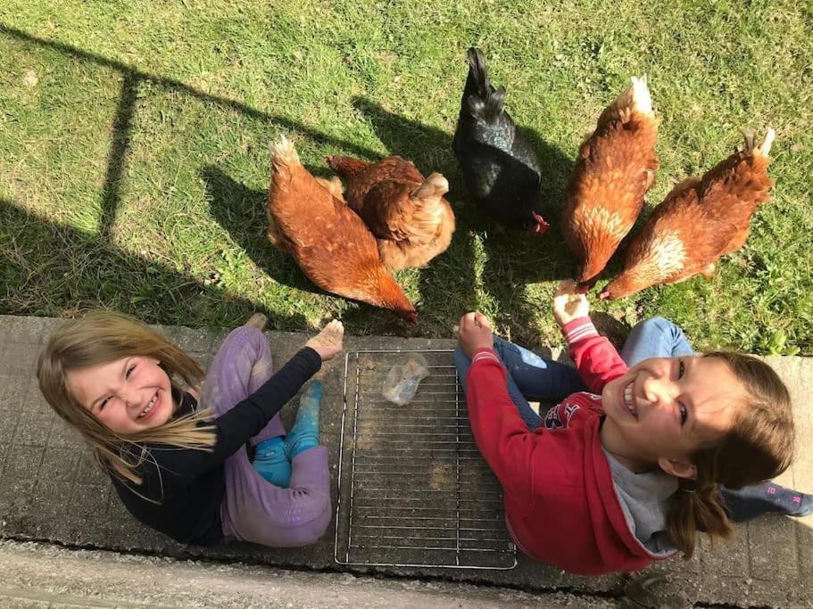 Cosy Family Apartment ライヒェナウ エクステリア 写真
