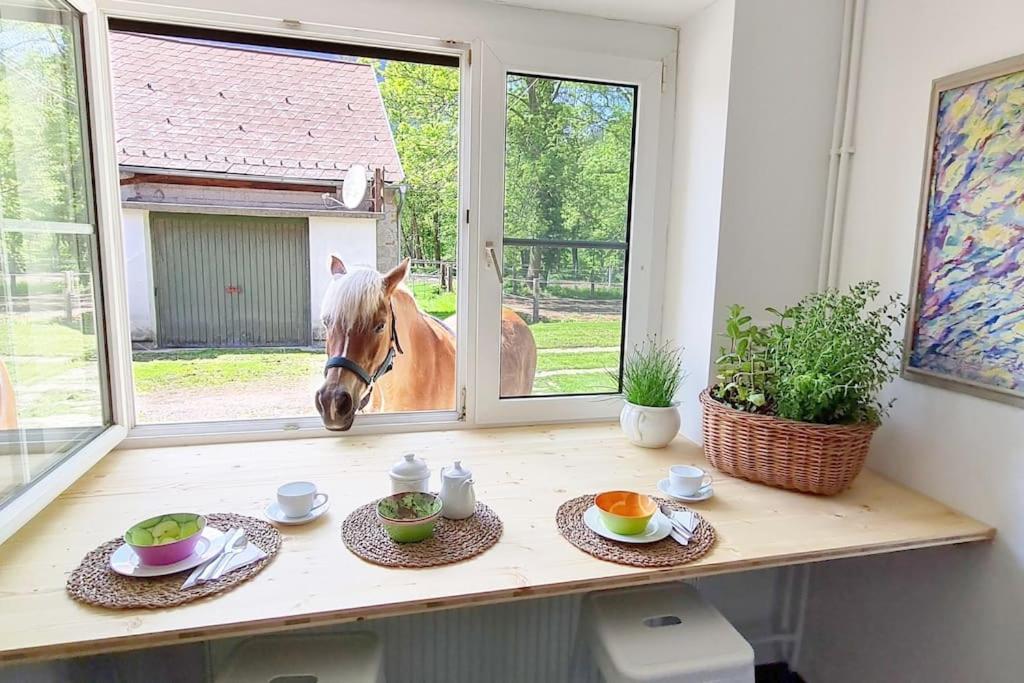 Cosy Family Apartment ライヒェナウ エクステリア 写真
